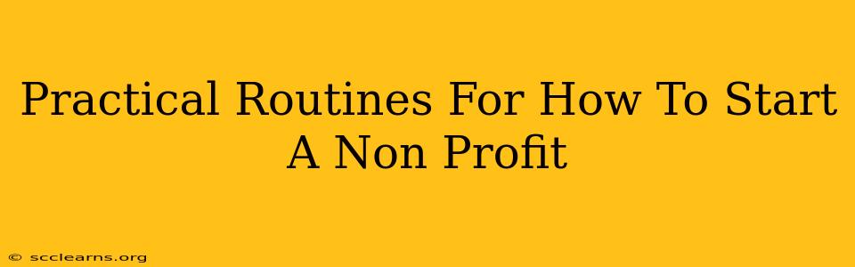 Practical Routines For How To Start A Non Profit