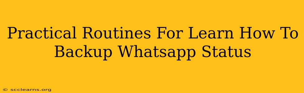 Practical Routines For Learn How To Backup Whatsapp Status