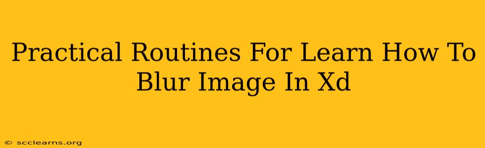 Practical Routines For Learn How To Blur Image In Xd