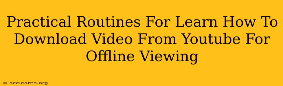 Practical Routines For Learn How To Download Video From Youtube For Offline Viewing