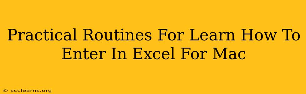 Practical Routines For Learn How To Enter In Excel For Mac