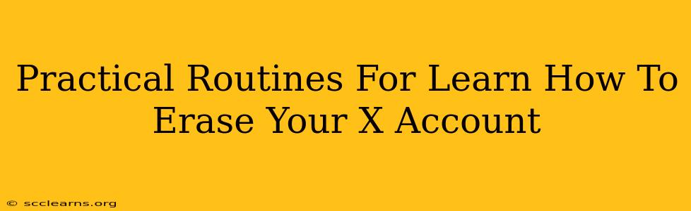 Practical Routines For Learn How To Erase Your X Account