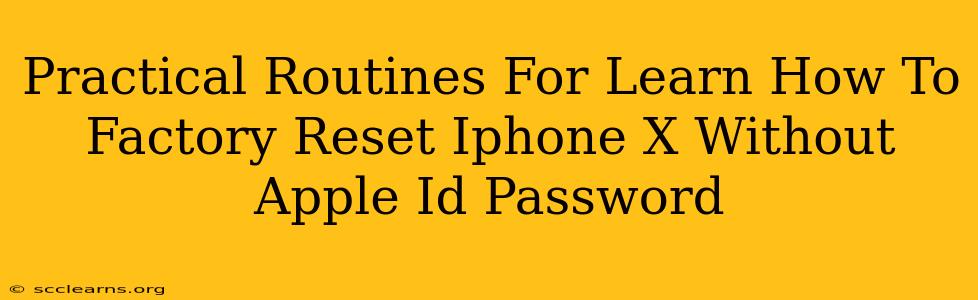 Practical Routines For Learn How To Factory Reset Iphone X Without Apple Id Password