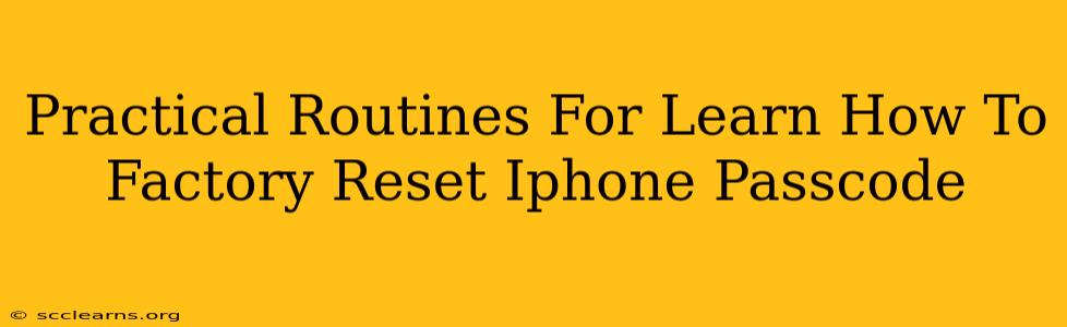 Practical Routines For Learn How To Factory Reset Iphone Passcode