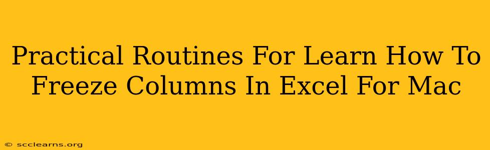 Practical Routines For Learn How To Freeze Columns In Excel For Mac