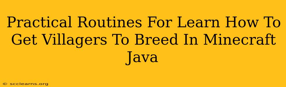 Practical Routines For Learn How To Get Villagers To Breed In Minecraft Java