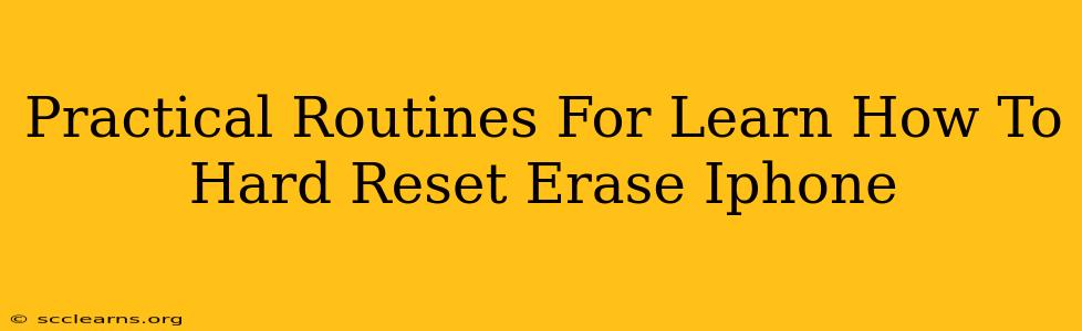 Practical Routines For Learn How To Hard Reset Erase Iphone