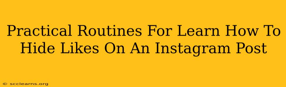 Practical Routines For Learn How To Hide Likes On An Instagram Post