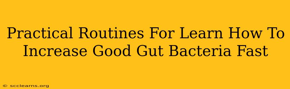 Practical Routines For Learn How To Increase Good Gut Bacteria Fast