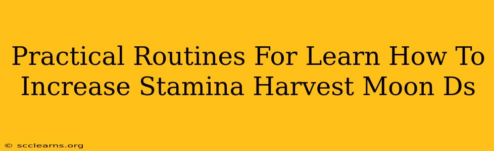 Practical Routines For Learn How To Increase Stamina Harvest Moon Ds