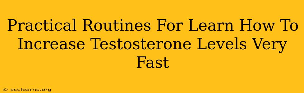 Practical Routines For Learn How To Increase Testosterone Levels Very Fast