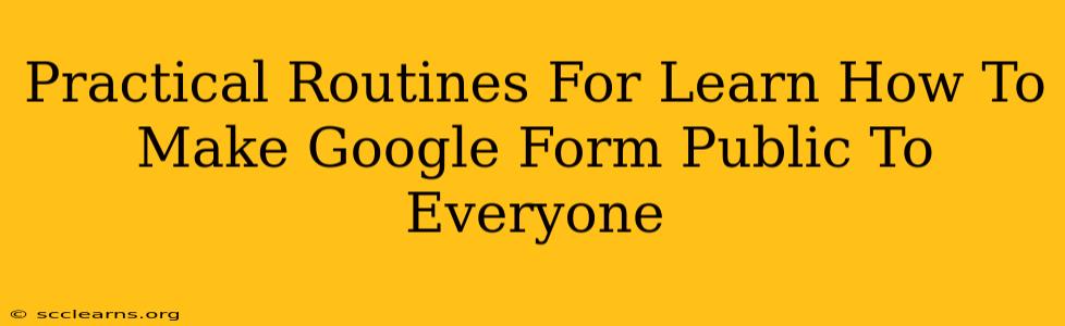 Practical Routines For Learn How To Make Google Form Public To Everyone