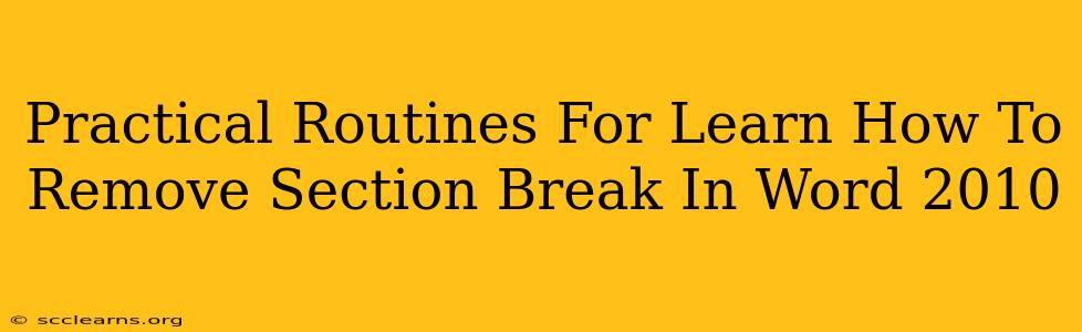 Practical Routines For Learn How To Remove Section Break In Word 2010