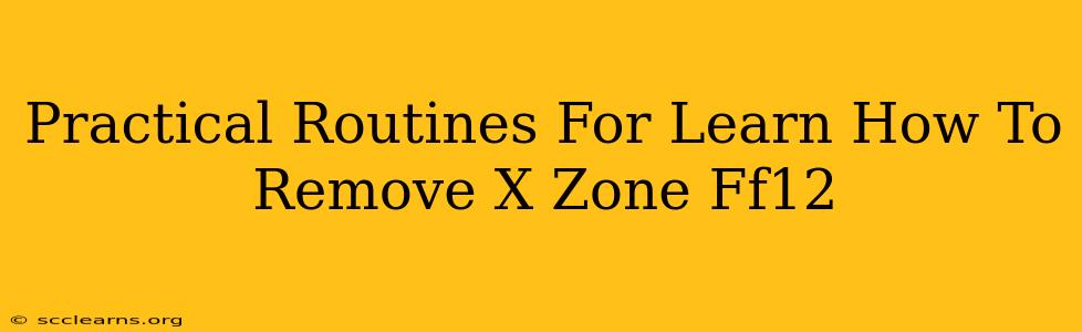 Practical Routines For Learn How To Remove X Zone Ff12