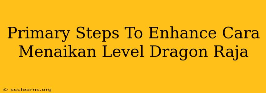 Primary Steps To Enhance Cara Menaikan Level Dragon Raja