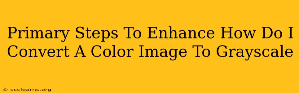 Primary Steps To Enhance How Do I Convert A Color Image To Grayscale