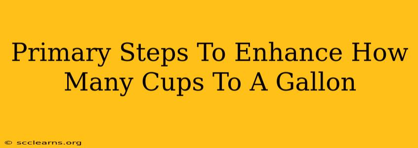 Primary Steps To Enhance How Many Cups To A Gallon