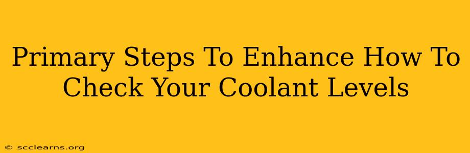 Primary Steps To Enhance How To Check Your Coolant Levels