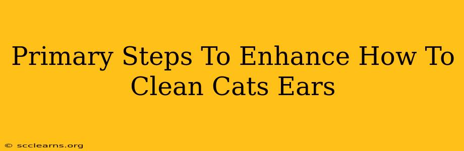 Primary Steps To Enhance How To Clean Cats Ears