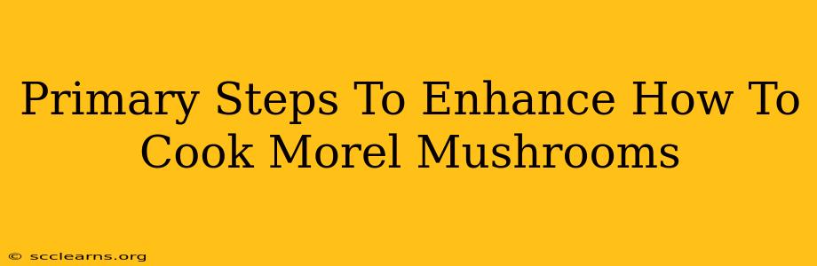 Primary Steps To Enhance How To Cook Morel Mushrooms