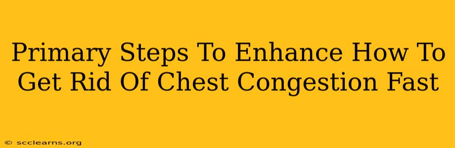 Primary Steps To Enhance How To Get Rid Of Chest Congestion Fast