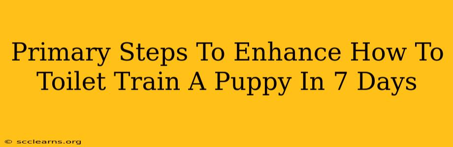 Primary Steps To Enhance How To Toilet Train A Puppy In 7 Days