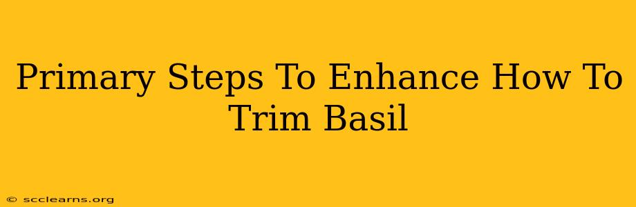 Primary Steps To Enhance How To Trim Basil