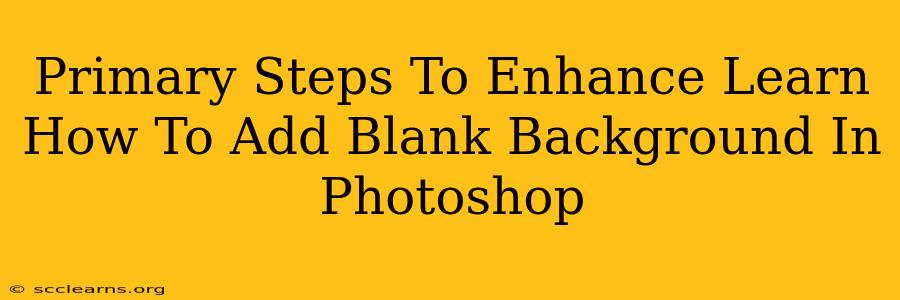 Primary Steps To Enhance Learn How To Add Blank Background In Photoshop