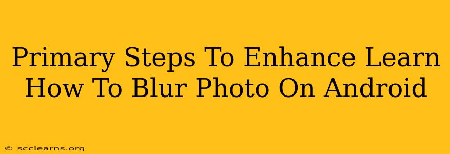 Primary Steps To Enhance Learn How To Blur Photo On Android