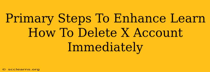 Primary Steps To Enhance Learn How To Delete X Account Immediately