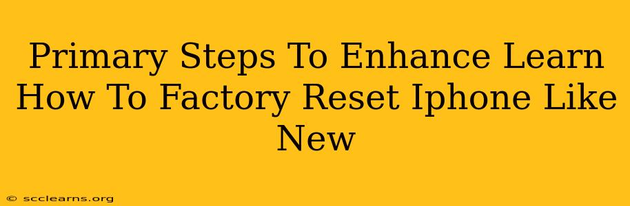 Primary Steps To Enhance Learn How To Factory Reset Iphone Like New