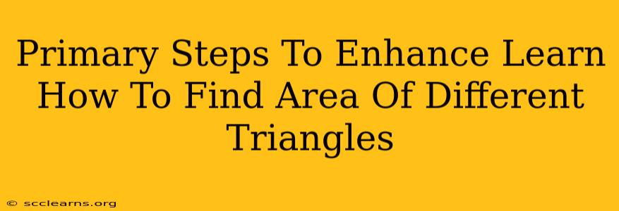 Primary Steps To Enhance Learn How To Find Area Of Different Triangles