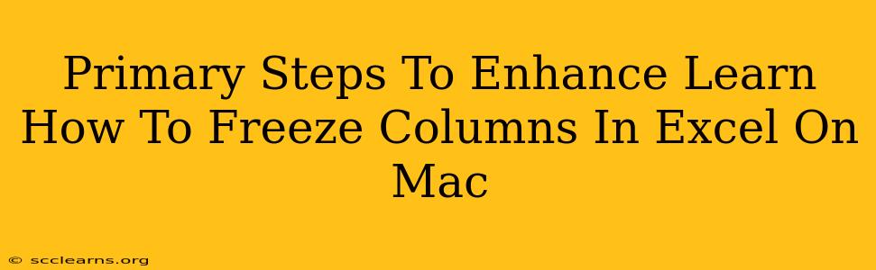 Primary Steps To Enhance Learn How To Freeze Columns In Excel On Mac