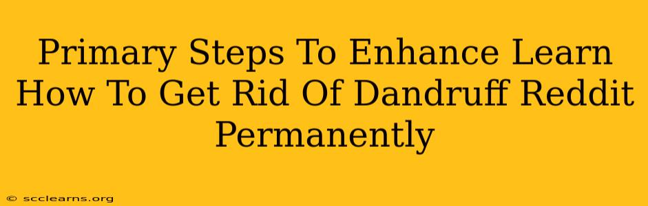 Primary Steps To Enhance Learn How To Get Rid Of Dandruff Reddit Permanently