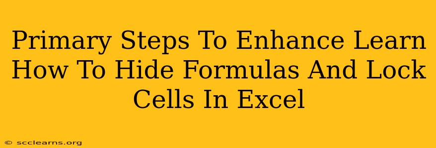 Primary Steps To Enhance Learn How To Hide Formulas And Lock Cells In Excel