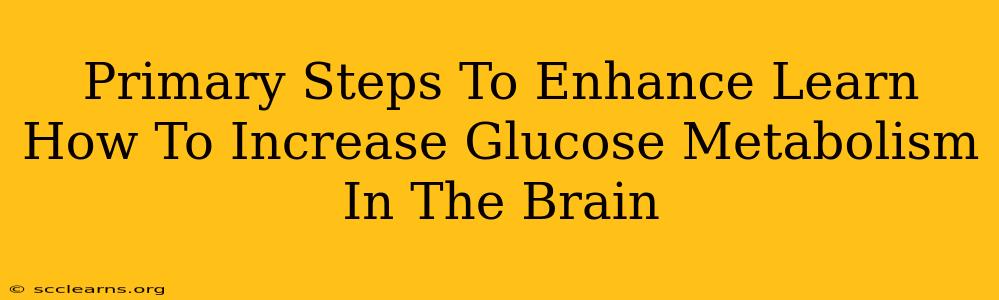 Primary Steps To Enhance Learn How To Increase Glucose Metabolism In The Brain