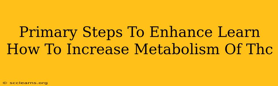 Primary Steps To Enhance Learn How To Increase Metabolism Of Thc