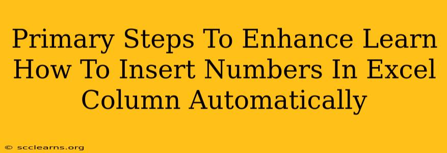 Primary Steps To Enhance Learn How To Insert Numbers In Excel Column Automatically