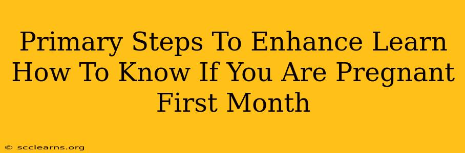 Primary Steps To Enhance Learn How To Know If You Are Pregnant First Month