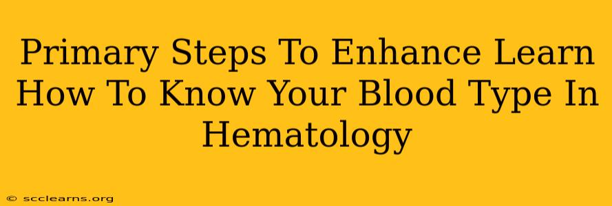 Primary Steps To Enhance Learn How To Know Your Blood Type In Hematology