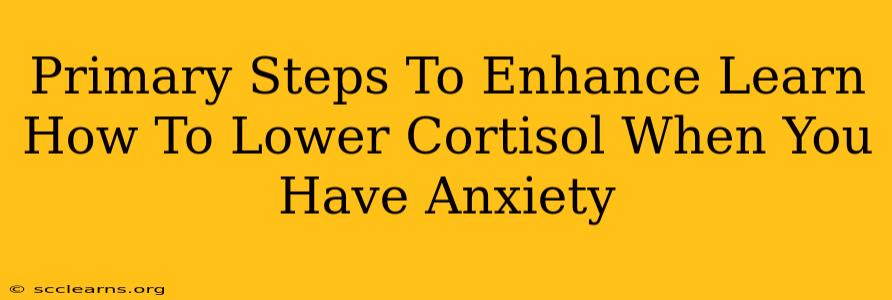 Primary Steps To Enhance Learn How To Lower Cortisol When You Have Anxiety