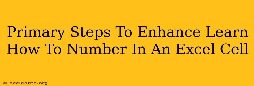 Primary Steps To Enhance Learn How To Number In An Excel Cell