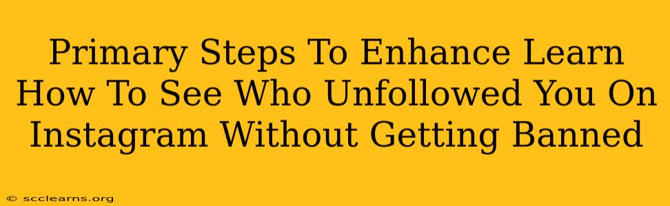 Primary Steps To Enhance Learn How To See Who Unfollowed You On Instagram Without Getting Banned