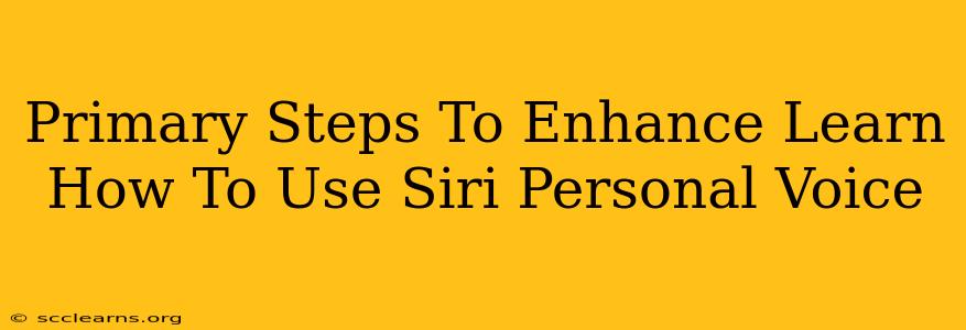 Primary Steps To Enhance Learn How To Use Siri Personal Voice