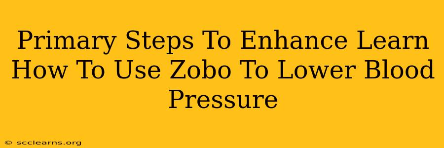 Primary Steps To Enhance Learn How To Use Zobo To Lower Blood Pressure