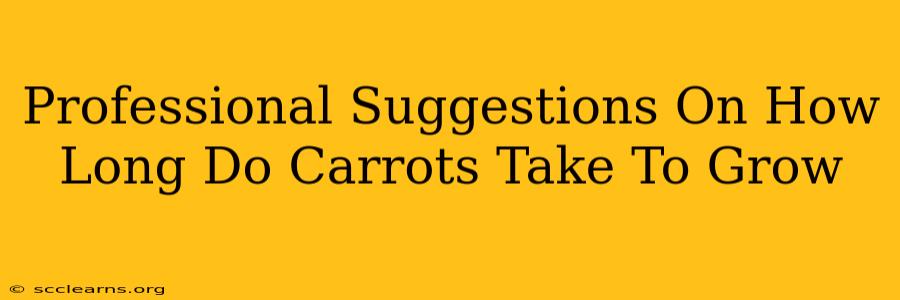 Professional Suggestions On How Long Do Carrots Take To Grow