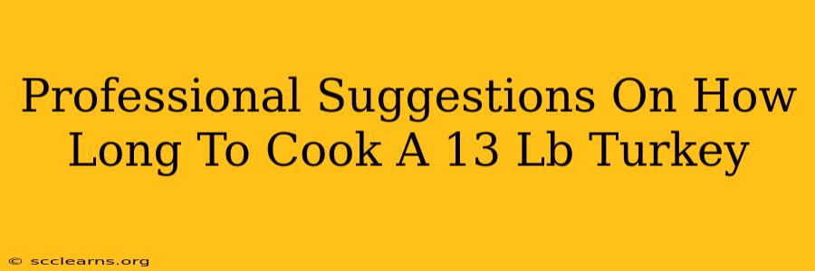 Professional Suggestions On How Long To Cook A 13 Lb Turkey