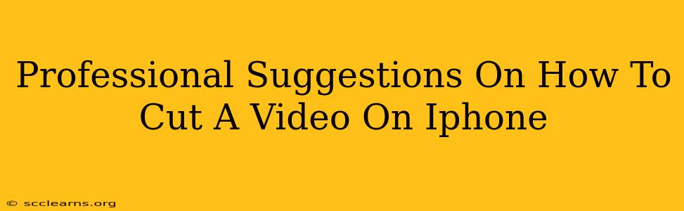 Professional Suggestions On How To Cut A Video On Iphone