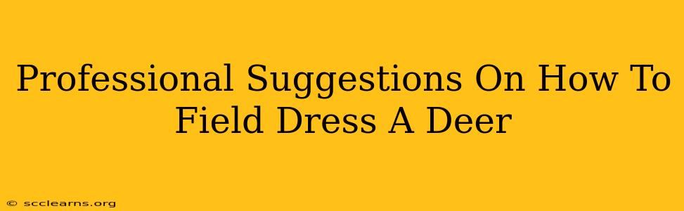 Professional Suggestions On How To Field Dress A Deer