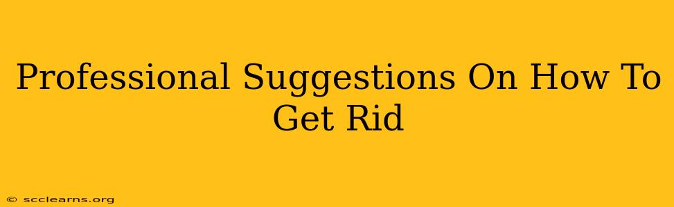 Professional Suggestions On How To Get Rid